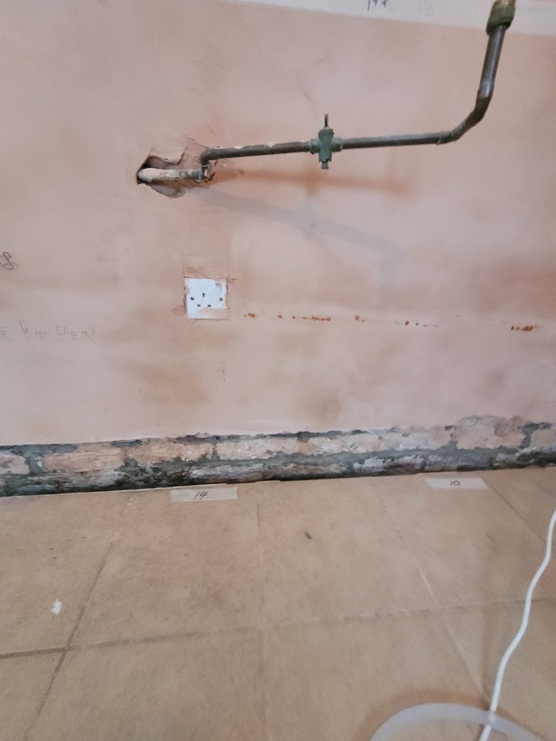 Clear damp markings on an internal wall being assessed during an independent survey