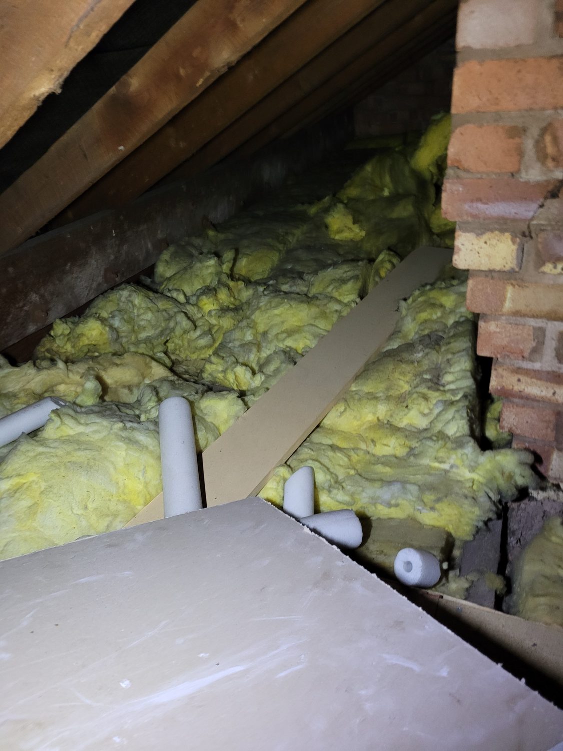 Survey evidence being recorded during an independent damp inspection
