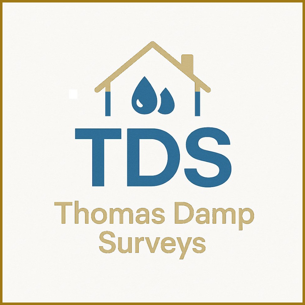 Thomas Damp Surveys logo