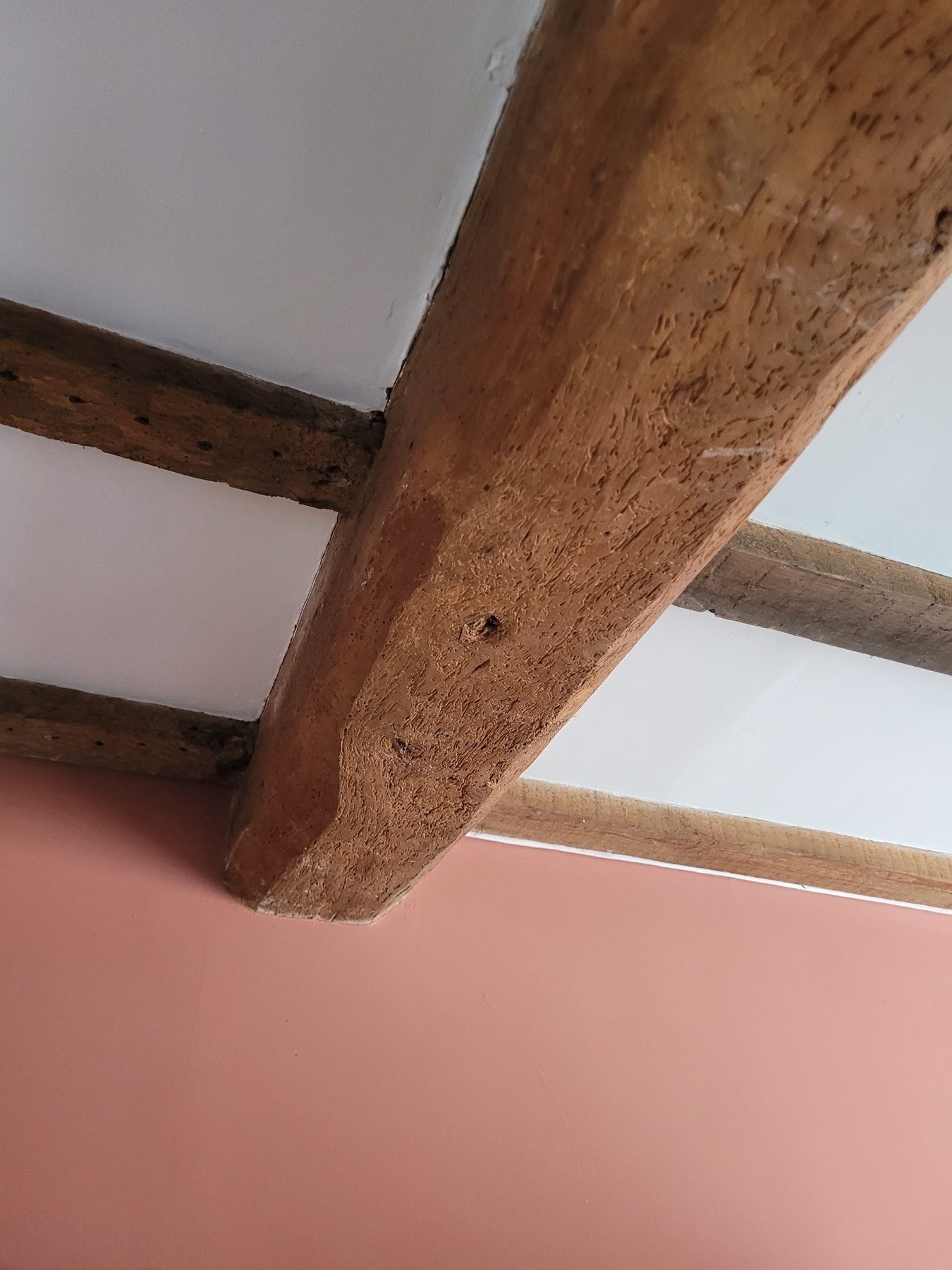 Close timber check on the underside of an exposed beam