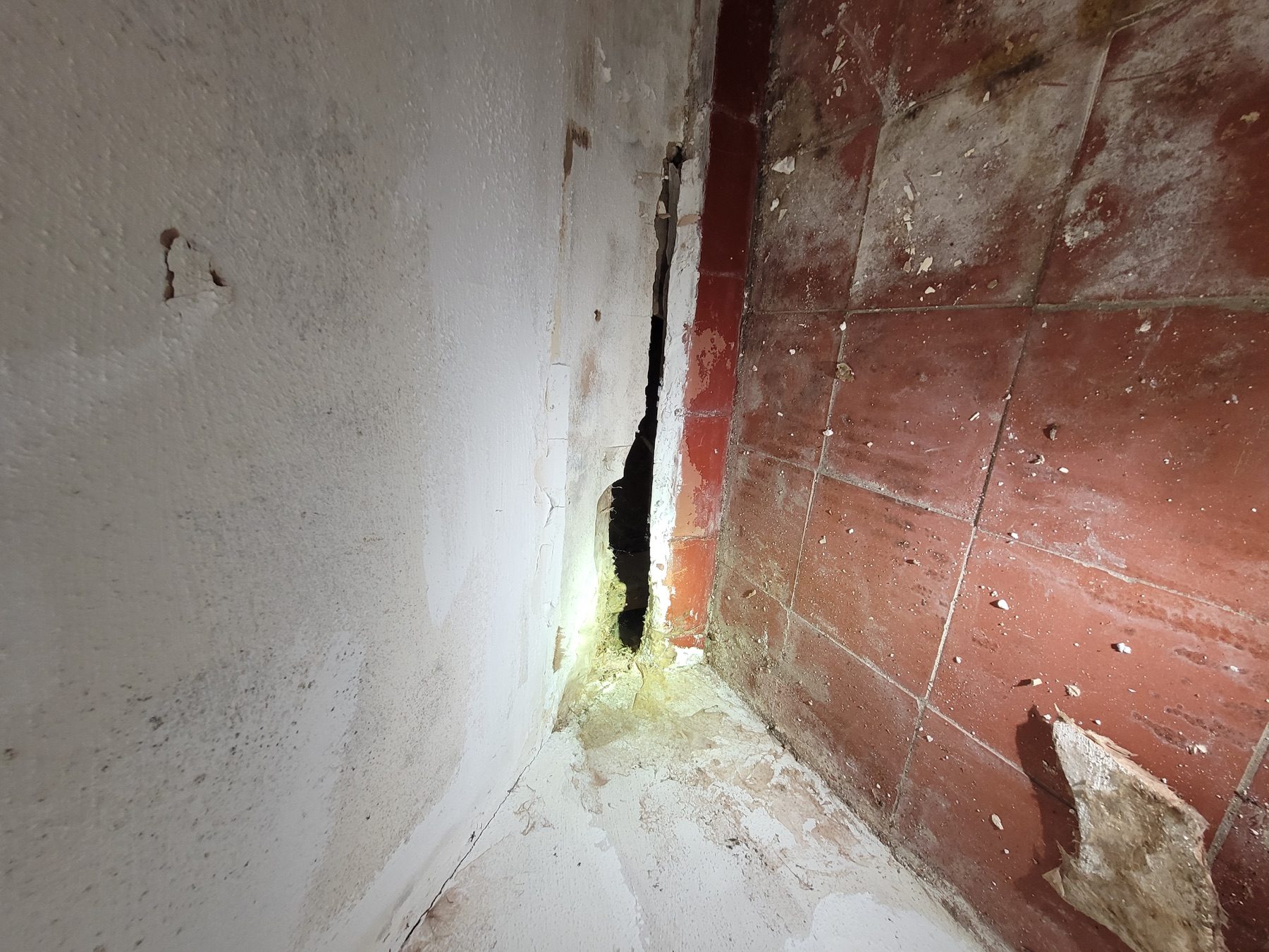 Area beneath stairs inspected for the spread of dry rot