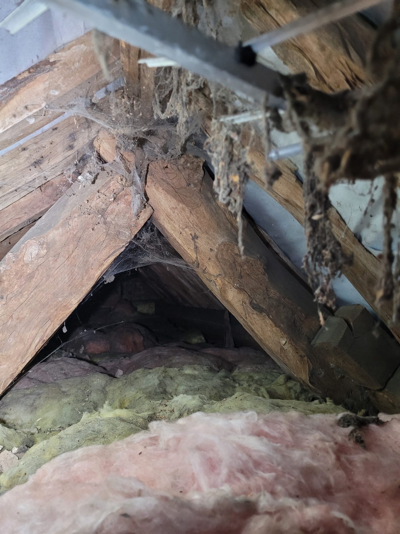 Stephen's inspection of roof timbers in an older house