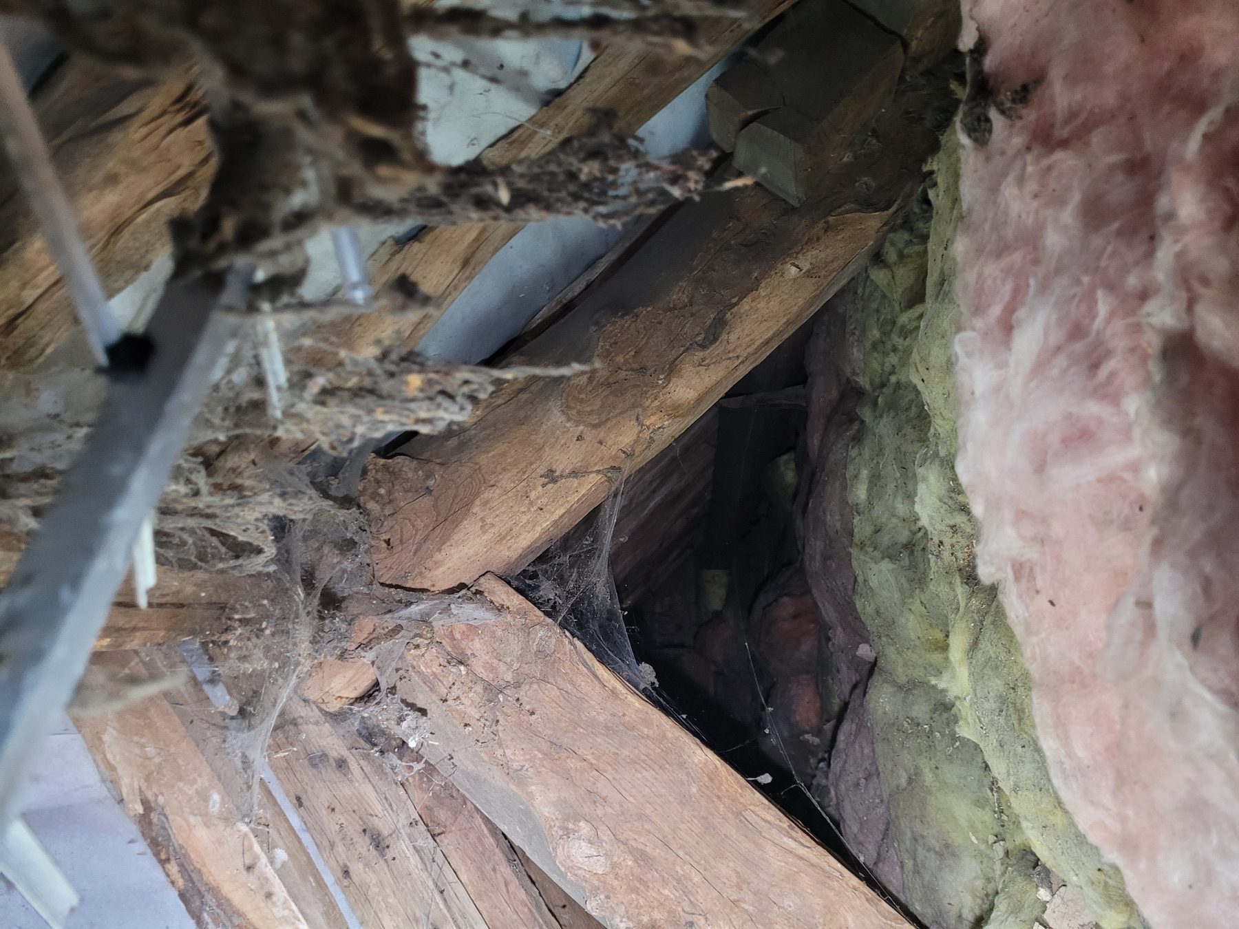 Stephen's inspection of roof timbers in an older house